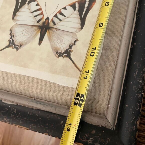 Creative Co-Op Distressed Antique Look Set of 4 Butterfly-Insect Framed Art - Picture 9 of 15